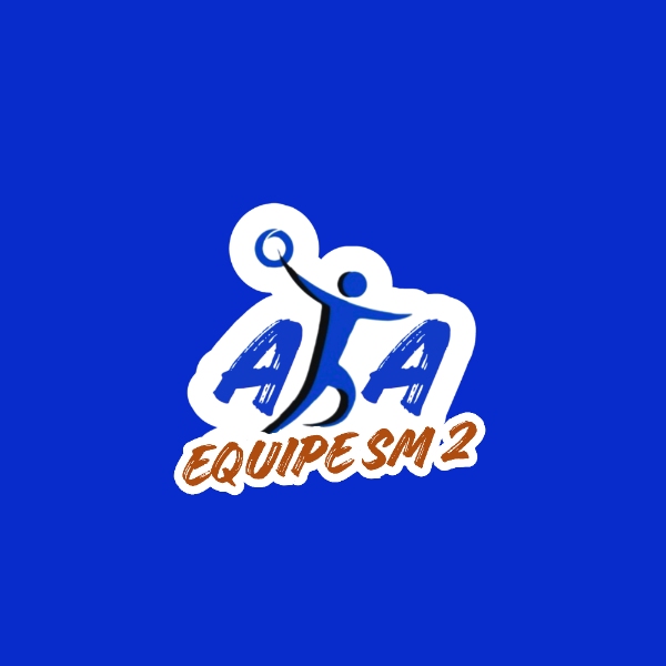 Équipe Senior B AL Andouillé Handball